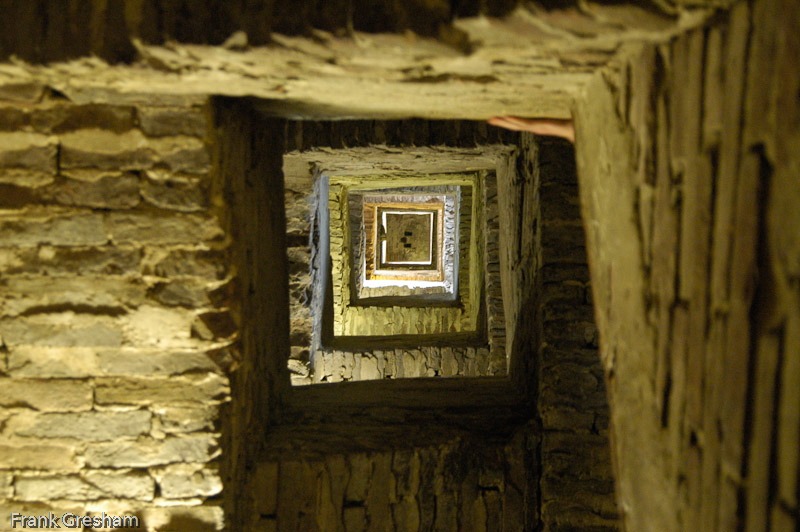 Up the tower, Siena