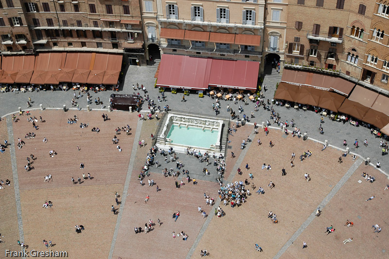 Campo, Siena